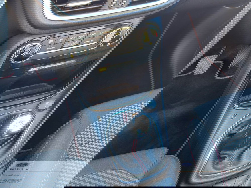 Ford Puma usata a Torino (18)