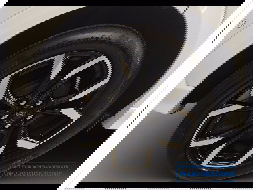 Ford Puma usata a Catania (19)