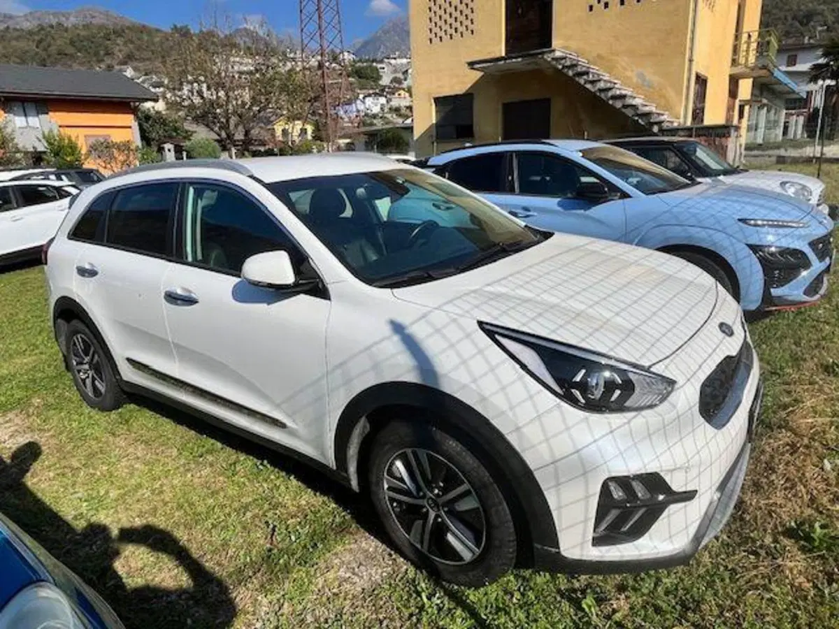 Kia Niro usata a Verbano Cusio Ossola