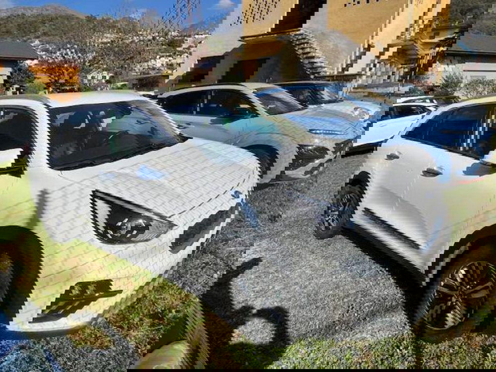 Kia Niro usata a Verbano Cusio Ossola