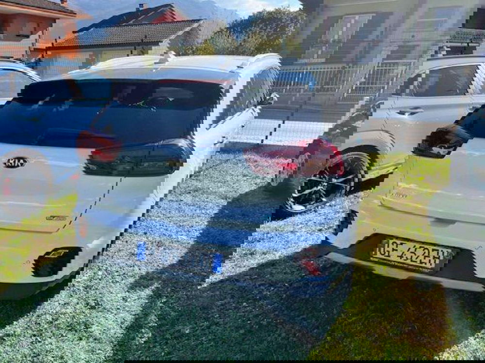 Kia Niro usata a Verbano Cusio Ossola (4)