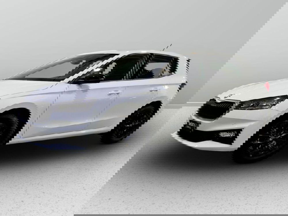 Skoda Fabia usata a Padova