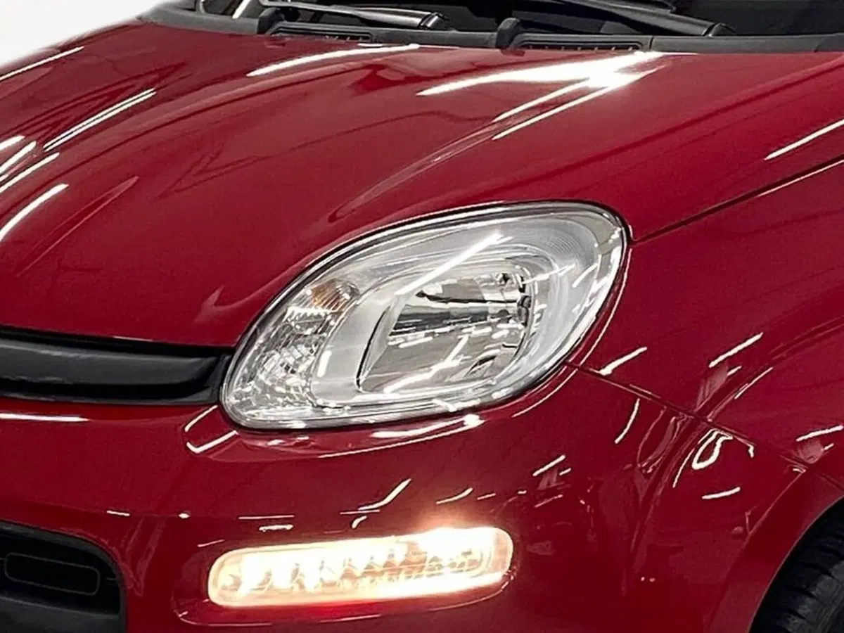 Fiat Pandina nuova a Torino (14)