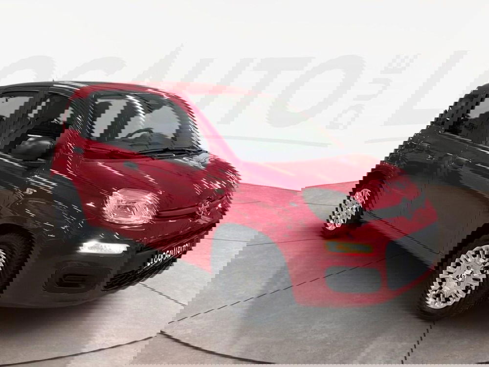 Fiat Pandina nuova a Torino (3)