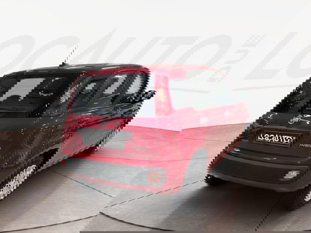 Fiat Pandina nuova a Torino (4)