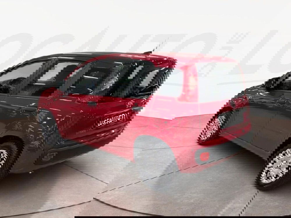 Fiat Pandina nuova a Torino (5)