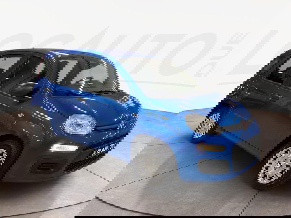 Fiat Pandina nuova a Torino (3)