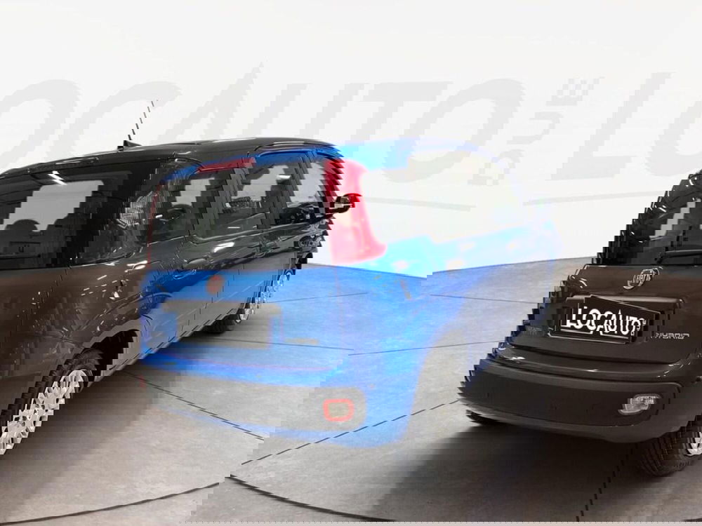 Fiat Pandina nuova a Torino (4)