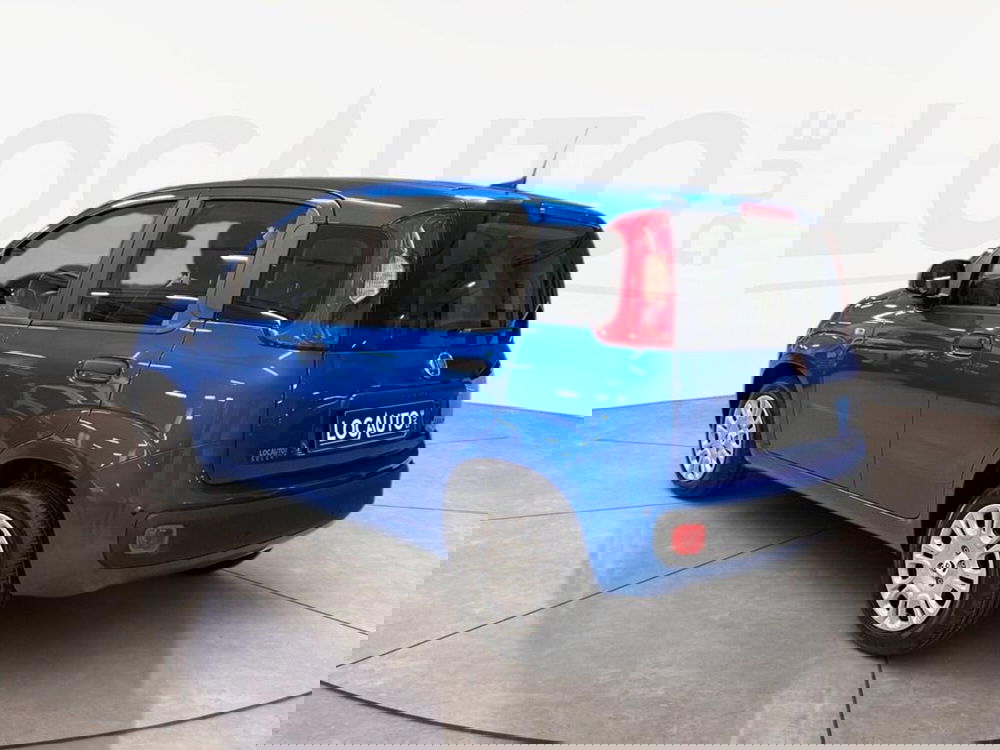 Fiat Pandina nuova a Torino (5)