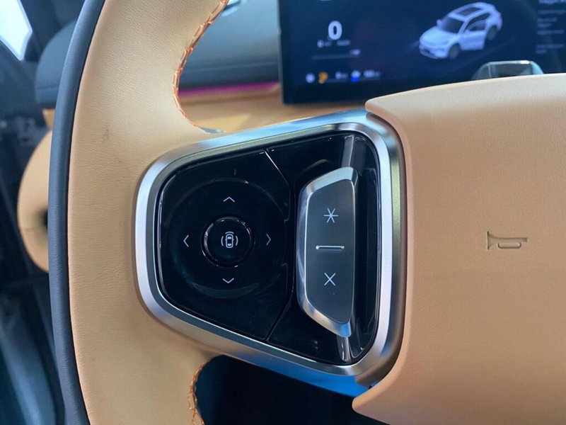 Geely Starray nuova a Torino (9)