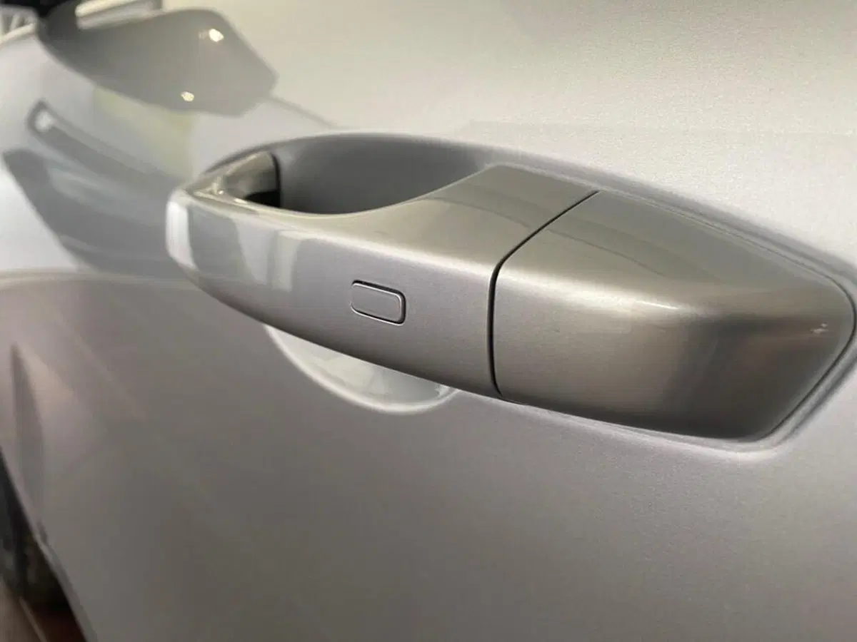 Geely Starray nuova a Torino (13)