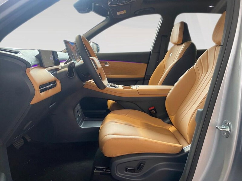 Geely Starray nuova a Torino (7)