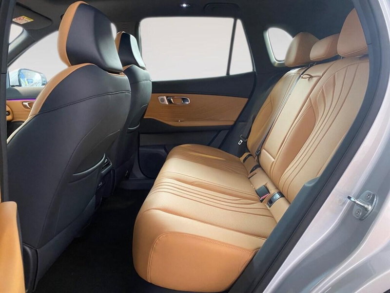 Geely Starray nuova a Torino (8)