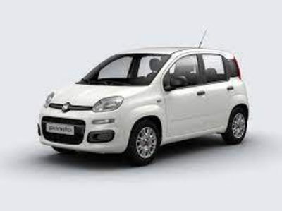 Fiat Panda 1.0 firefly hybrid Icon s&amp;s 70cv nuova a Torino