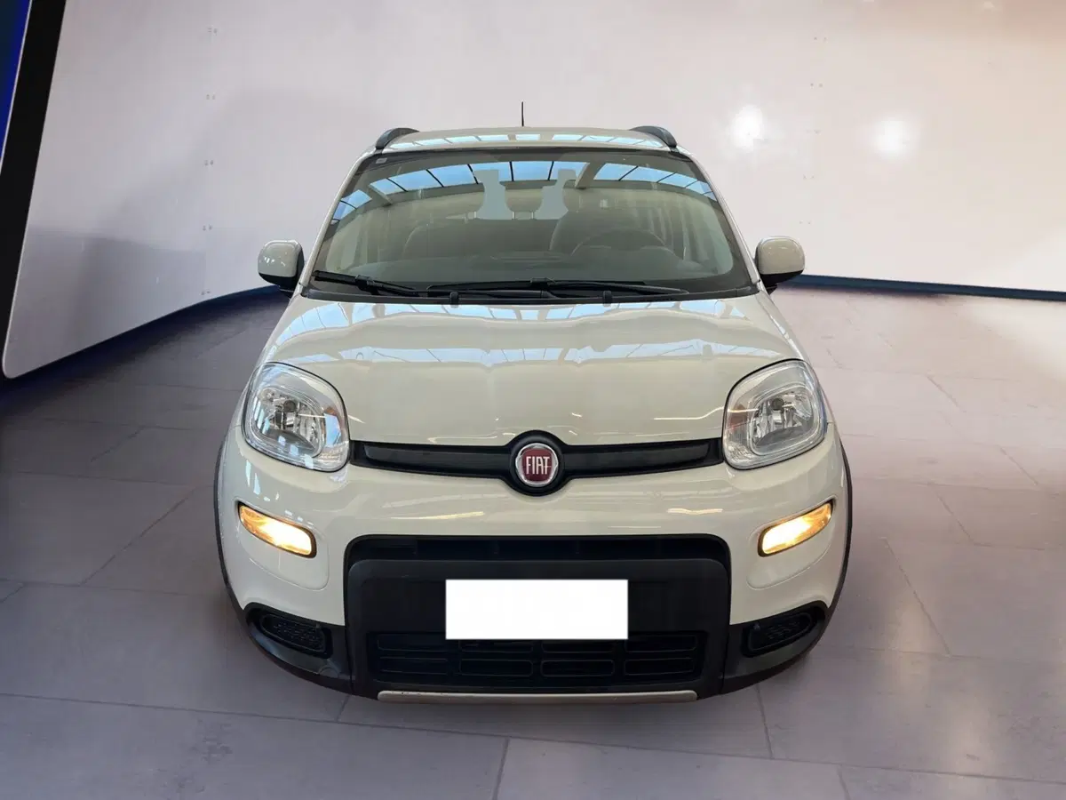 Fiat Panda usata a Torino