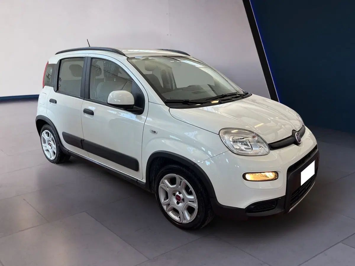 Fiat Panda usata a Torino (2)