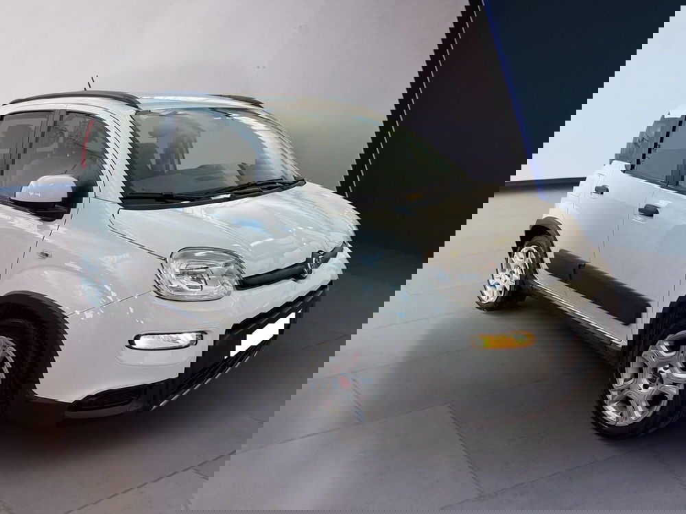 Fiat Panda usata a Torino (2)