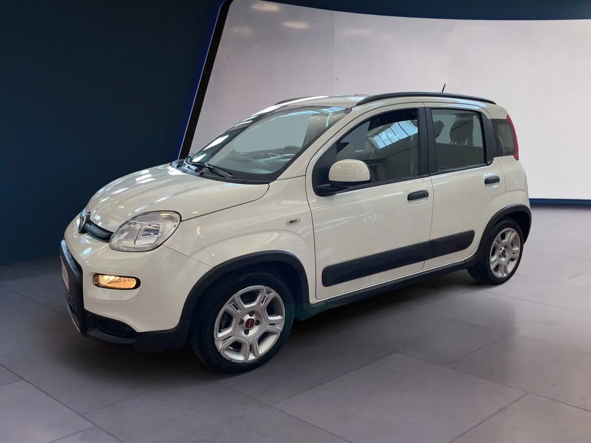 Fiat Panda usata a Torino (3)