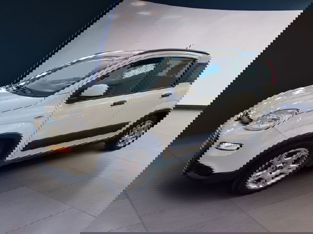 Fiat Panda usata a Torino (3)