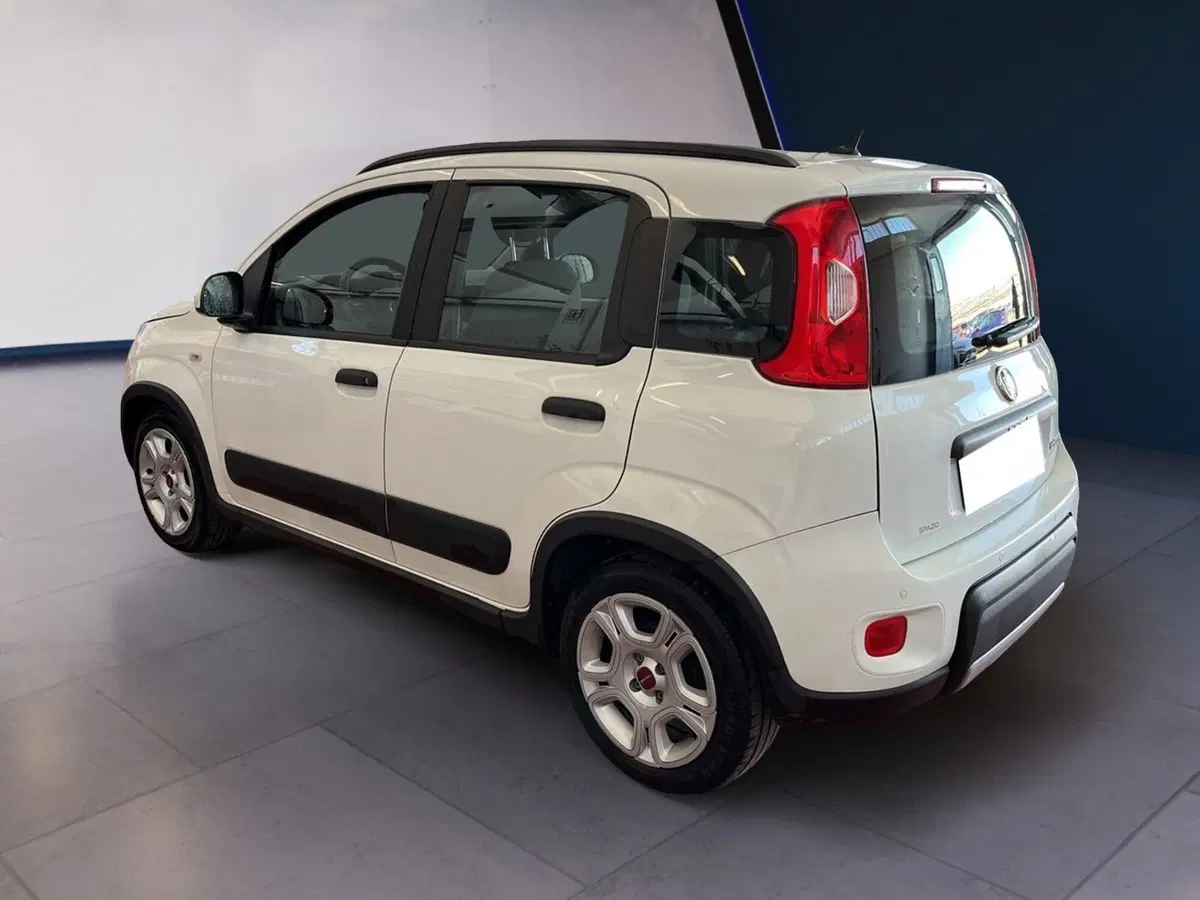 Fiat Panda usata a Torino (4)