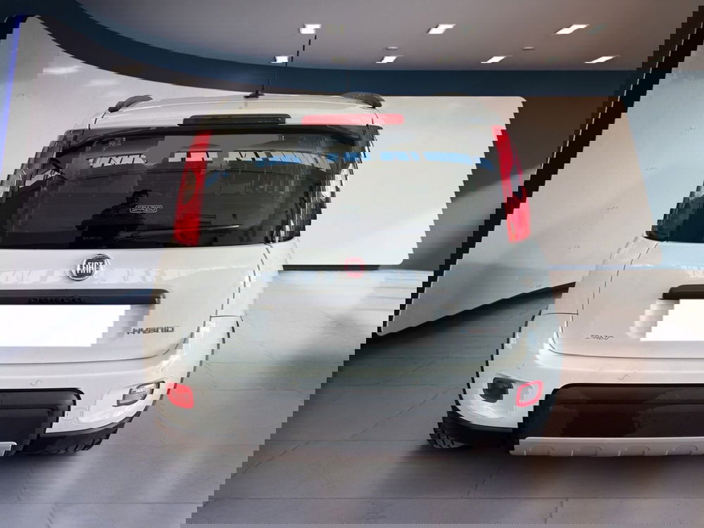 Fiat Panda usata a Torino (5)