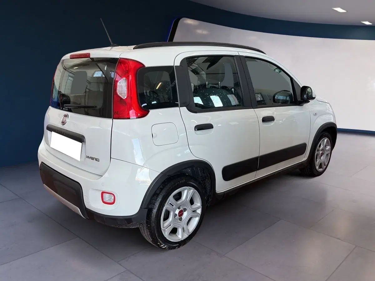 Fiat Panda usata a Torino (6)