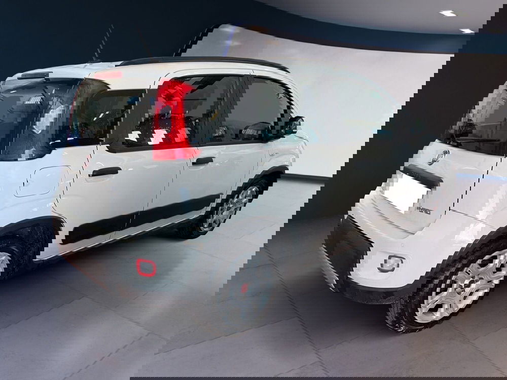 Fiat Panda usata a Torino (6)