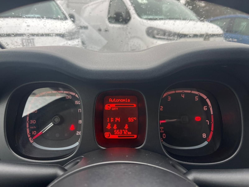 Fiat Panda Cross usata a Milano (20)