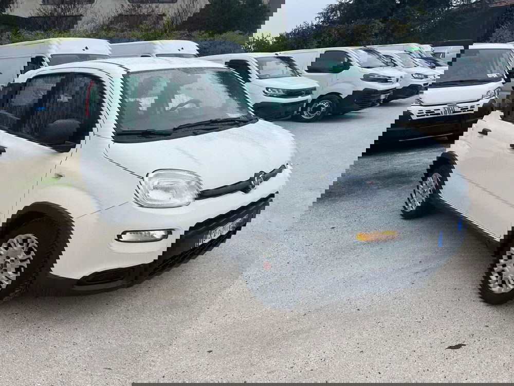 Fiat Panda Cross usata a Milano (3)