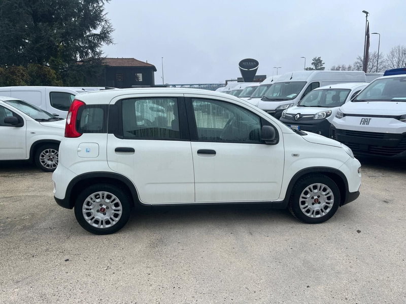 Fiat Panda Cross usata a Milano (5)