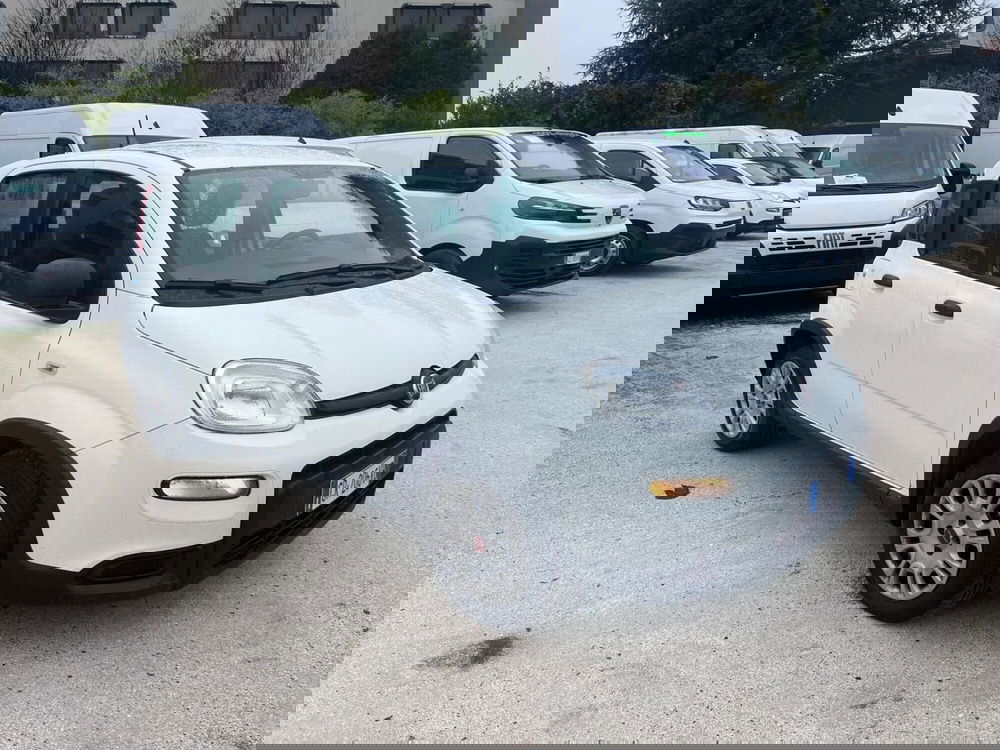 Fiat Panda Cross usata a Milano (3)