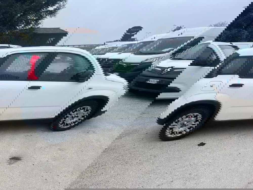 Fiat Panda Cross usata a Milano (6)