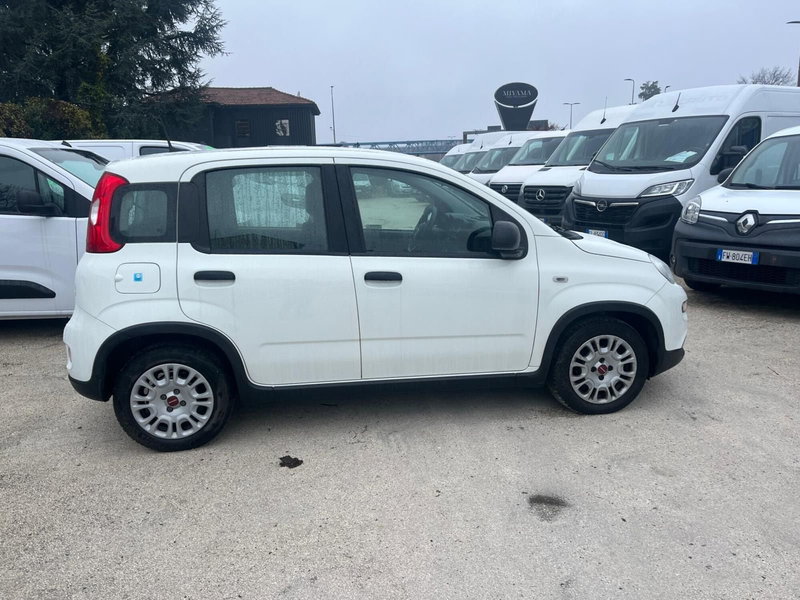 Fiat Panda Cross usata a Milano (6)