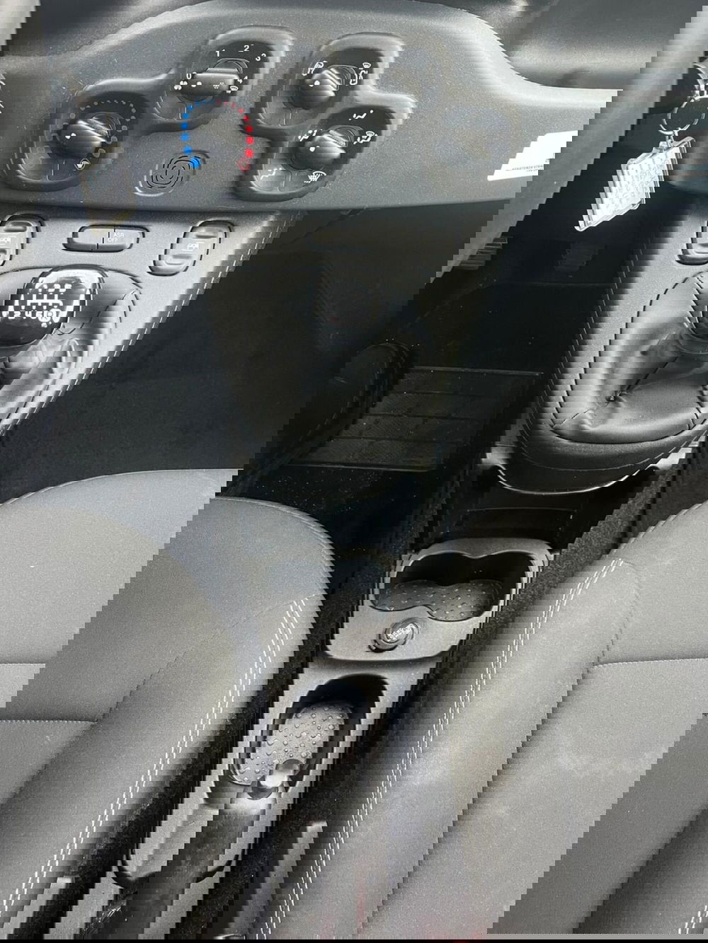 Fiat Panda Cross usata a Milano (19)