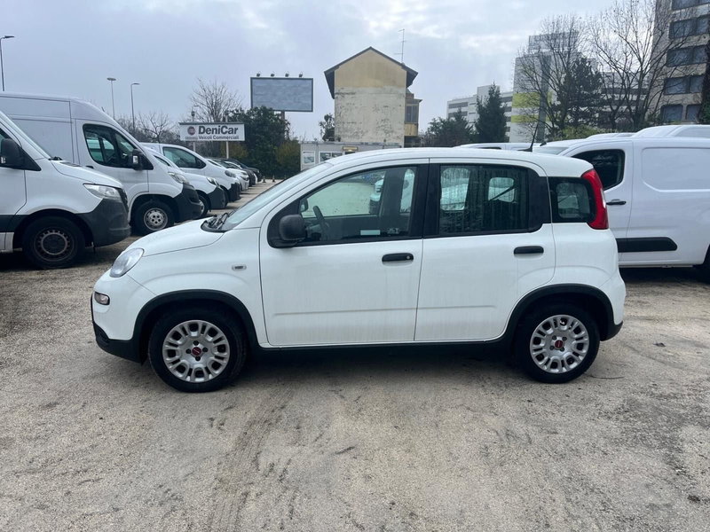 Fiat Panda Cross usata a Milano (5)