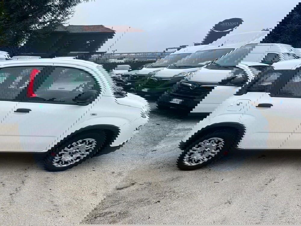 Fiat Panda Cross usata a Milano (6)