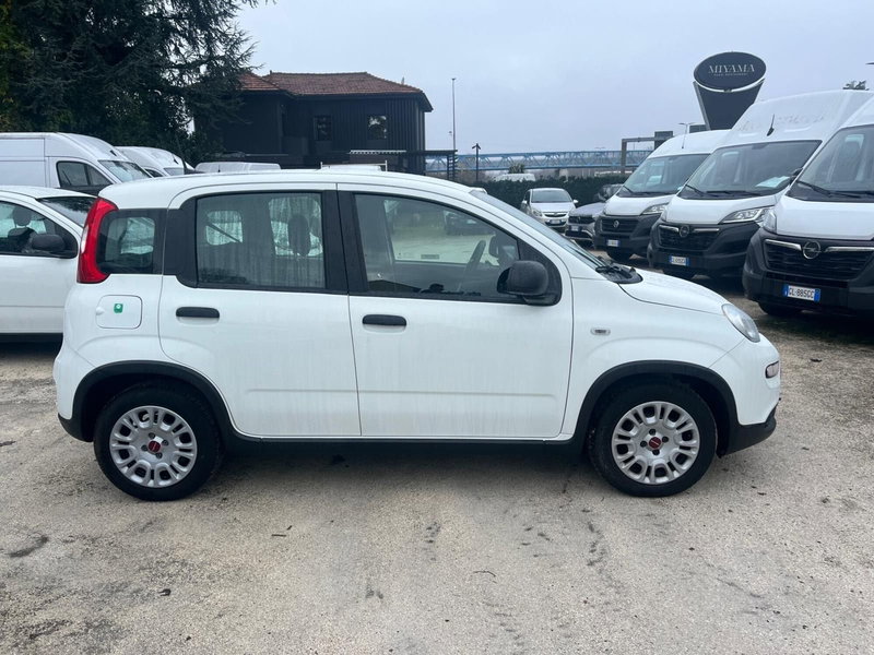 Fiat Panda Cross usata a Milano (6)
