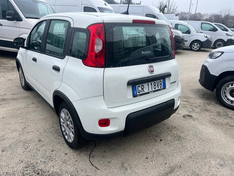 Fiat Panda Cross usata a Milano (8)