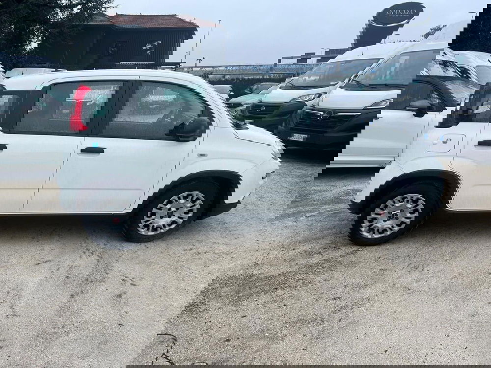 Fiat Panda Cross usata a Milano (5)