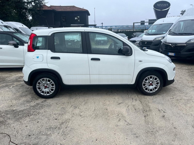 Fiat Panda Cross usata a Milano (5)