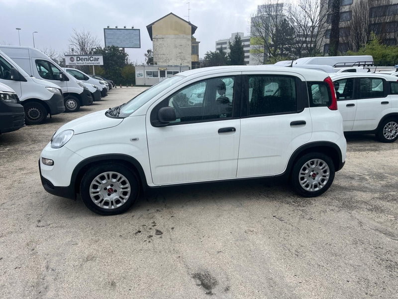 Fiat Panda Cross usata a Milano (6)