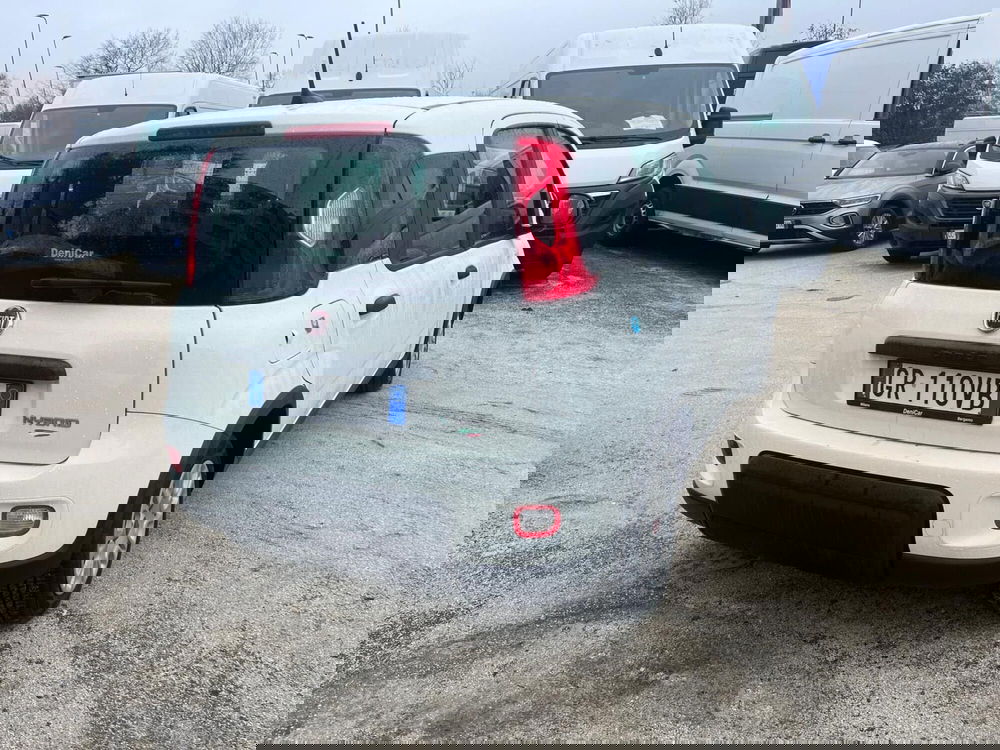 Fiat Panda Cross usata a Milano (8)