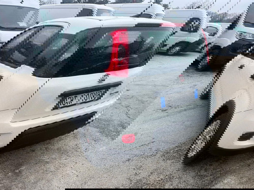 Fiat Panda Cross usata a Milano (9)