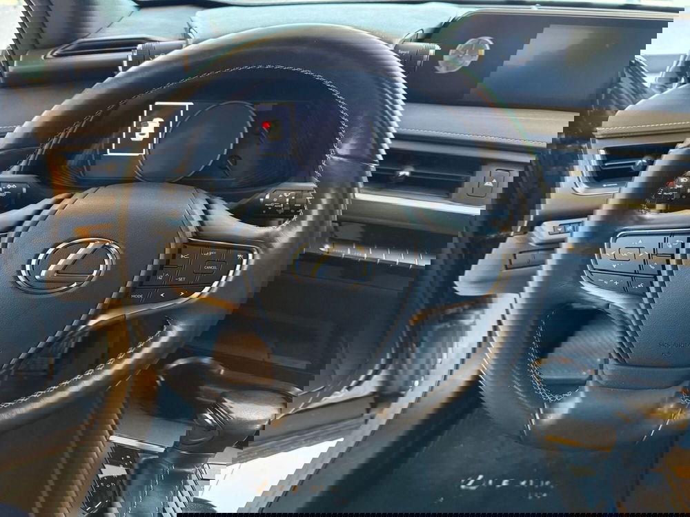 Lexus UX usata a Reggio Emilia (12)