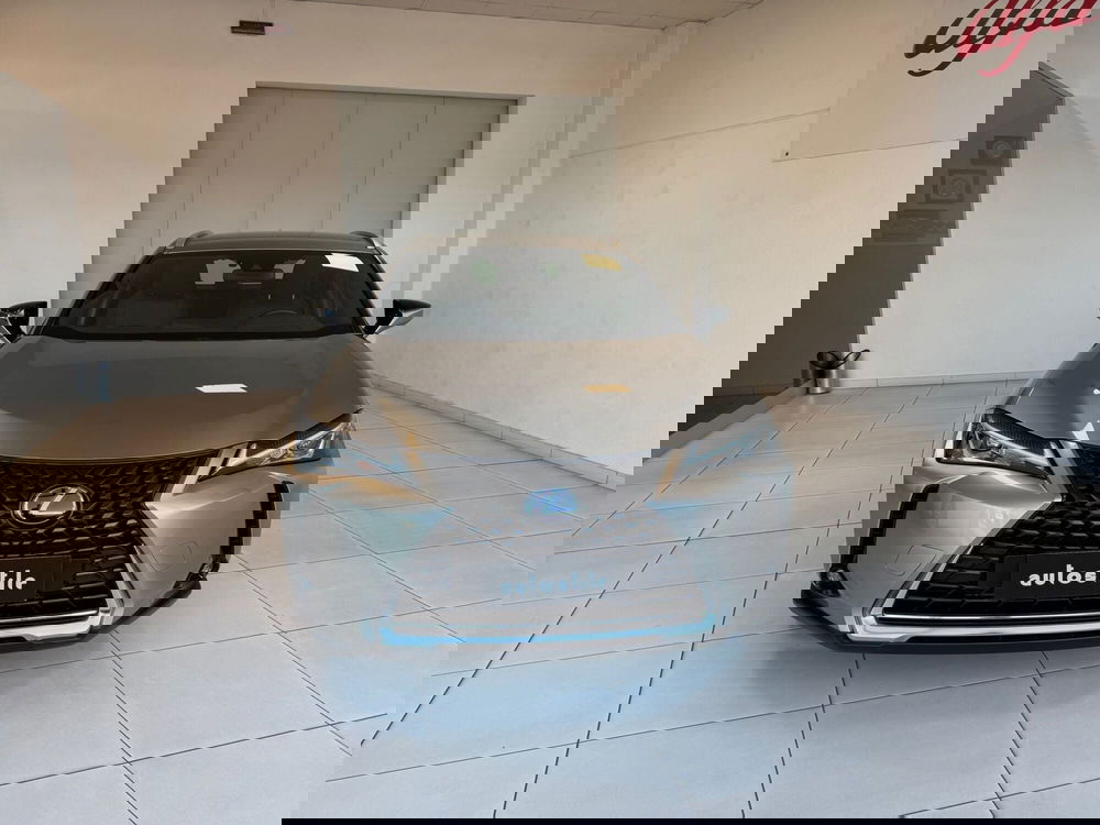 Lexus UX usata a Reggio Emilia (2)