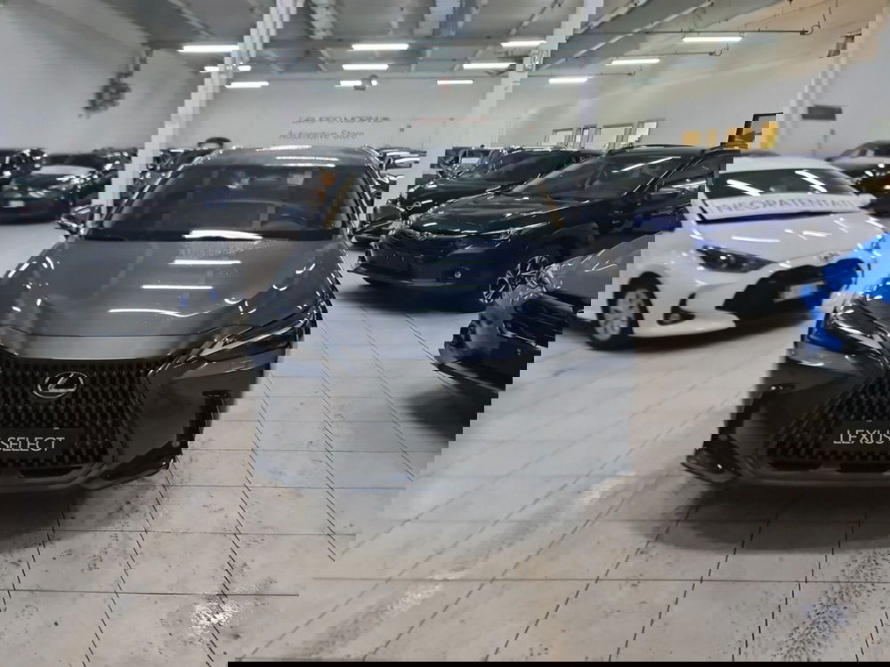 Lexus NX usata a Bologna (2)