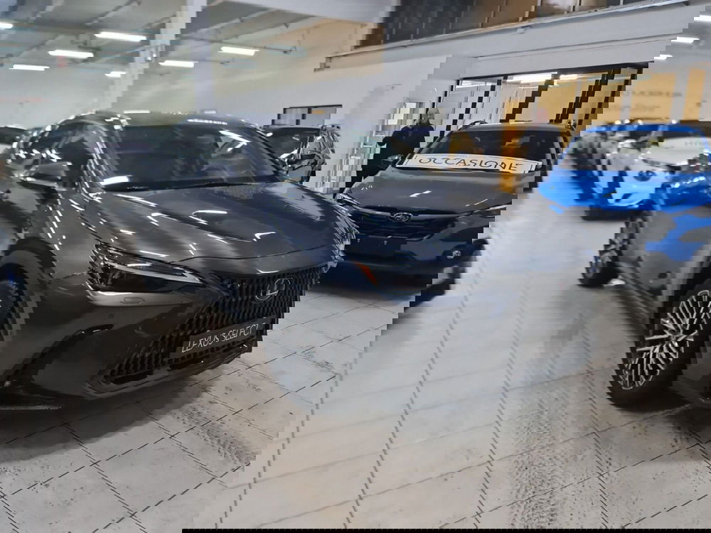 Lexus NX usata a Bologna (3)