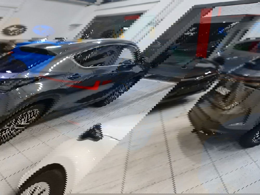 Lexus NX usata a Bologna (6)