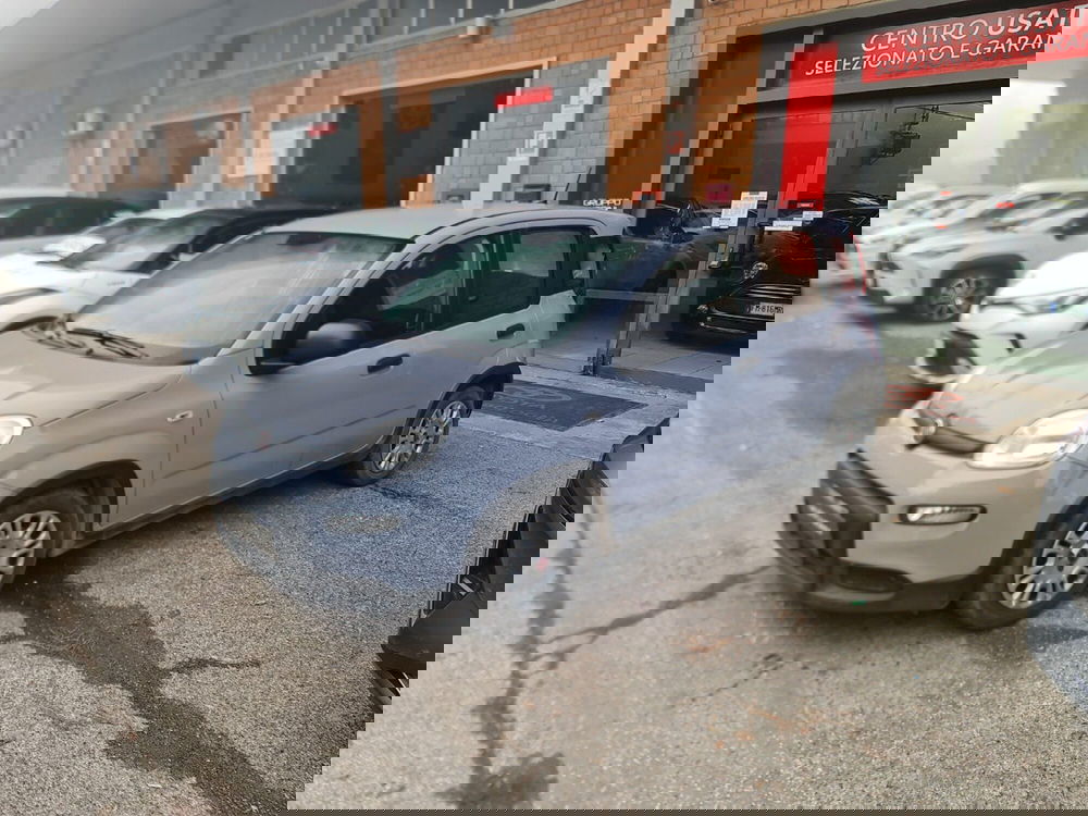 Fiat Panda Cross usata a Bologna