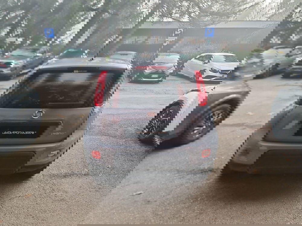 Fiat Panda Cross usata a Bologna (5)